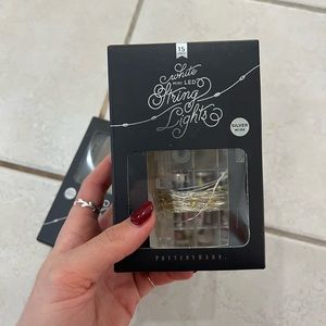 Pottery Barn mini LED String of Lights (silver wire, 15ft)